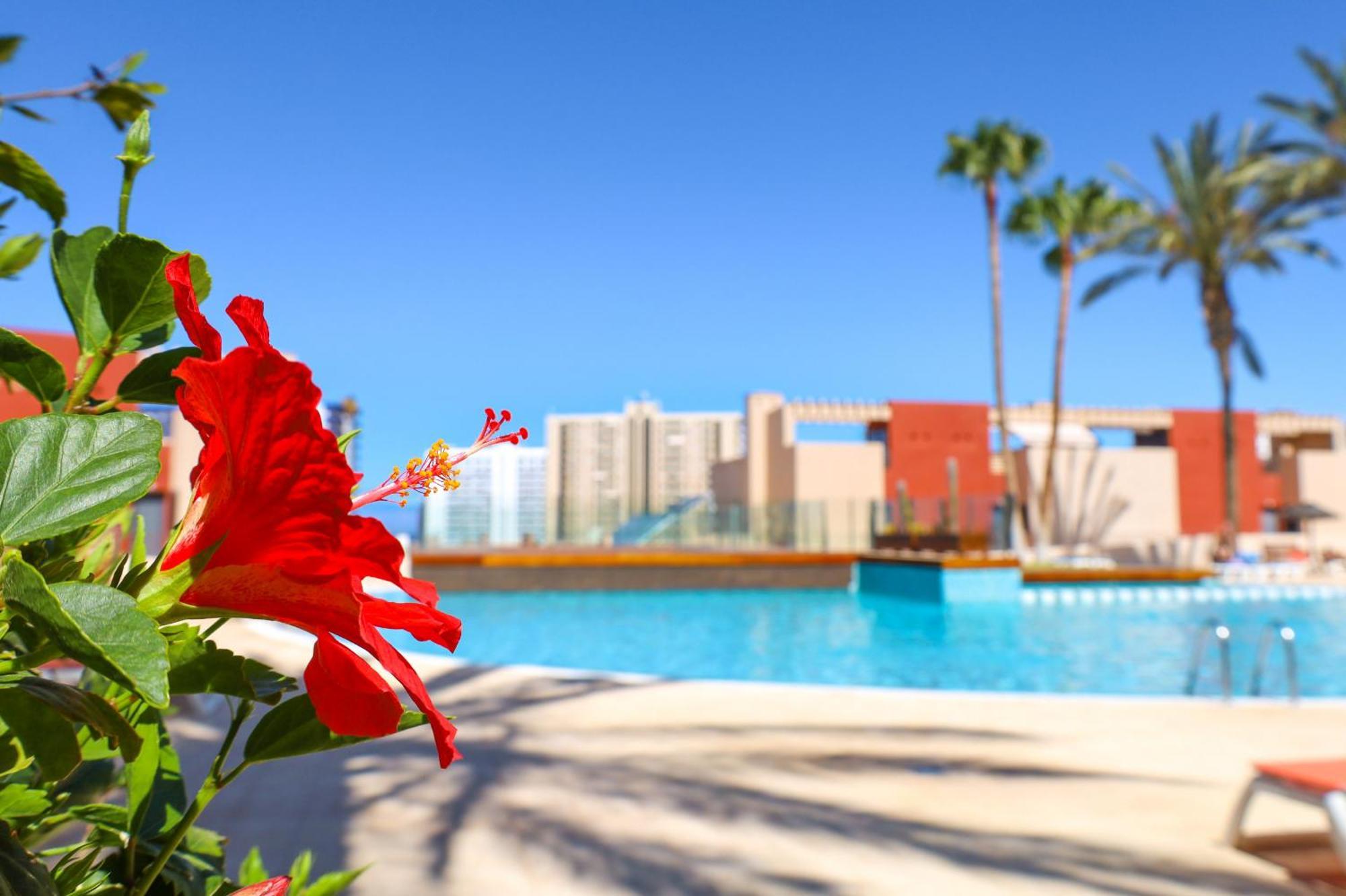 Relax In Paraiso بلايا بارايسو المظهر الخارجي الصورة